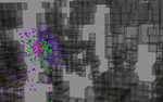 ALGODEX_simple program_particle flow_ALGODesign_INDUCTION DESIGN_Makoto Sei Watanabe