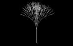 ALGODEX_simple program_tree_ALGODesign_INDUCTION DESIGN_Makoto Sei Watanabe
